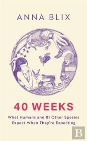 40 Weeks