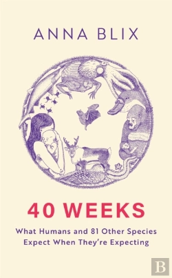 Bertrand.pt - 40 Weeks