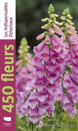 Bertrand.pt - 450 Fleurs