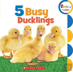 Bertrand.pt - 5 Busy Ducklings
