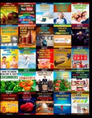 50 Books In 1