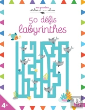 50 Défis Labyrinthes
