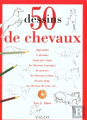 50 Dessins De Chevaux