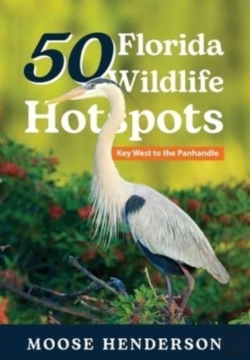 Bertrand.pt - 50 Florida Wildlife Hotspots