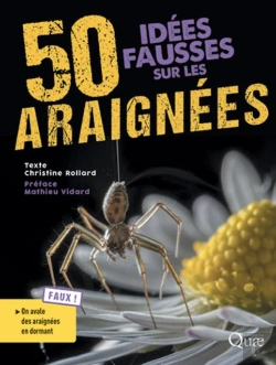 Bertrand.pt - 50 Idées Fausses Sur Les Araignées