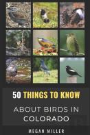50 Things To Know About Birds In Colorado