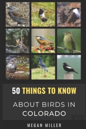 50 Things To Know About Birds In Colorado