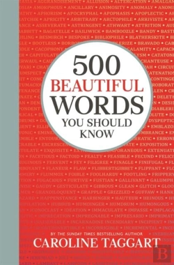 Bertrand.pt - 500 Beautiful Words You Should Know
