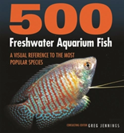Bertrand.pt - 500 Freshwater Aquarium Fish
