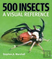 500 Insects: A Visual Reference