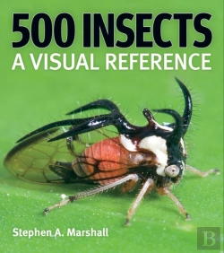 Bertrand.pt - 500 Insects: A Visual Reference