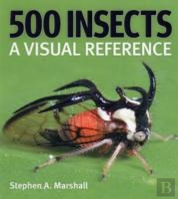 Bertrand.pt - 500 Insects
