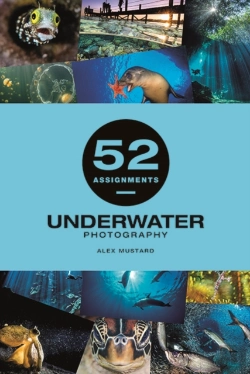 Bertrand.pt - 52 Assignments: Underwater Photography