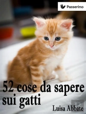 52 Cose Da Sapere Sui Gatti