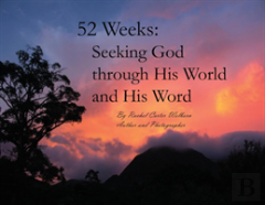52 Weeks