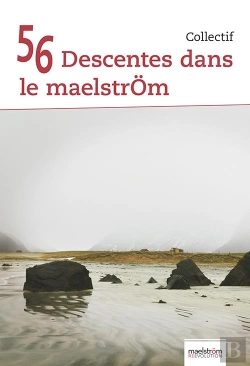 Bertrand.pt - 56 Descentes Dans Le Maelstrom