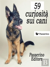 59 Curiosità Sui Cani