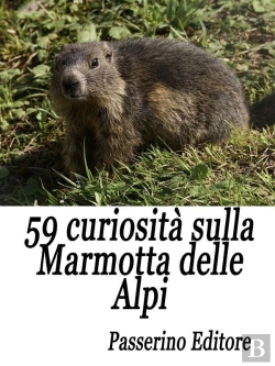 Bertrand.pt - 59 Curiosità Sulla Marmotta Delle Alpi