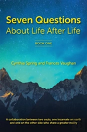 7 Questions About Life After Life: A Collaboration Between Two Souls, One Incarnate On Earth, And One On The Other Side Who Share A Greater Reality