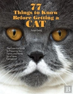 Bertrand.pt - 77 Things To Know Before Getting A Cat