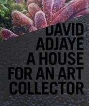 77e77 David Adjaye