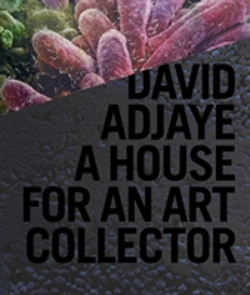 Bertrand.pt - 77e77 David Adjaye