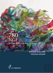 780 Ngf : Sous L'Eau Du Lac, Et Au Dessus, Maintenant