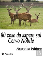 80 Cose Da Sapere Sul Cervo Nobile