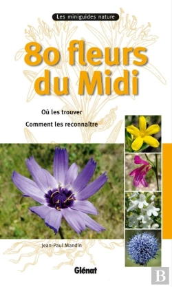 Bertrand.pt - 80 Fleurs Du Midi