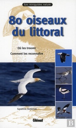 Bertrand.pt - 80 Oiseaux Du Littoral ; Où Les Trouver, Comment Les Reconnaître