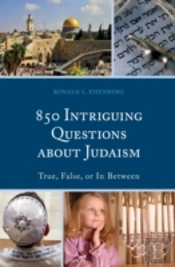 850 Intriguing Questions About Judaism