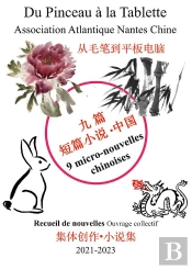 9 Micro Nouvelles Chinoises