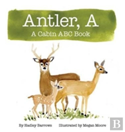 Bertrand.pt - A Antler