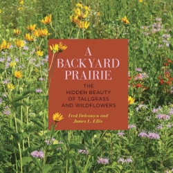 Bertrand.pt - A Backyard Prairie