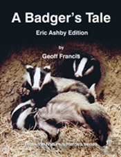 A Badger'S Tale