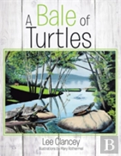 A Bale Of Turtles