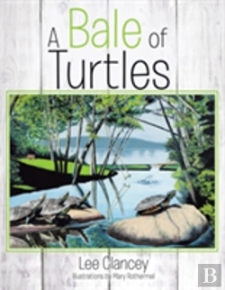 Bertrand.pt - A Bale Of Turtles