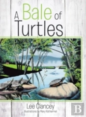 A Bale Of Turtles