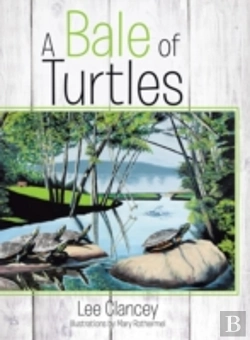 Bertrand.pt - A Bale Of Turtles