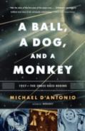 A Ball, A Dog, And A Monkey