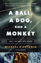 A Ball, A Dog, And A Monkey