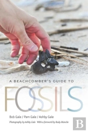 A Beachcomber'S Guide To Fossils