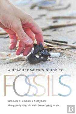 Bertrand.pt - A Beachcomber'S Guide To Fossils