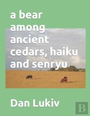 A Bear Among Ancient Cedars, Haiku And Senryu