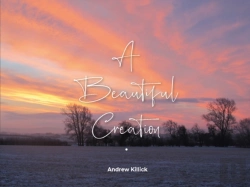 Bertrand.pt - A Beautiful Creation