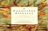 A Beautiful Disaster Â€“ Finding Hope In The Midst Of Brokenness