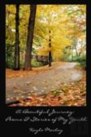 A Beautiful Journey: Poems & Stories Of My Youth
