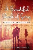 A Beautiful Shade Of Gray Book 2 Pieces Of Me