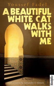 A Beautiful White Cat Walks With Me