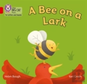 A Bee On A Lark